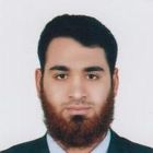 Alaa Mohamed Abdel Latif Ahmed Hussein alkhawas, موظف متكامل
