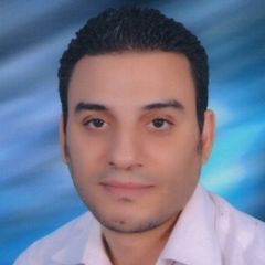 Hossam Moustafa, مدير مشروع