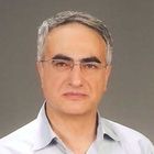 Fikri Demirel, managing director