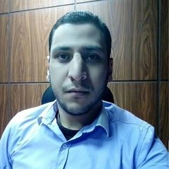 Sayed Ahmed Sayed Omara, Java Web Developer