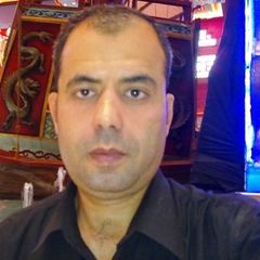 أحمد حبيشي, Financial Manager