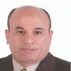 khaled Nasr El-Din, Department Manager