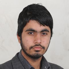 Muhammad Kashif, Web Designer/ Developer