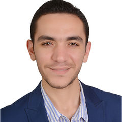 Amr Alaa, Civil engineer