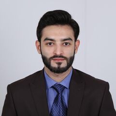 Taha Naqvi, Sales Executive / Sales Coordinator