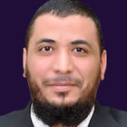 Ashraf Hamza, Senior Technical Consultant