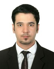 Syed Rizvi, Marketing executive