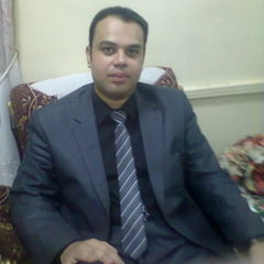Mohamed Ibrahim, محامى