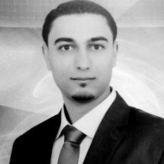 Ameen Alobeid, Project Lead