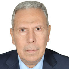 Abdel monem Ramadan shukri Shukri, Civil Inspector