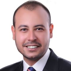 Mohamed Amr  Elabbar