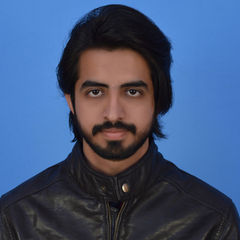 Talha Maqsood, Investment Analyst