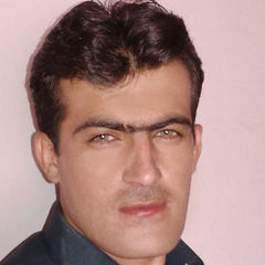 Badam gul  gul