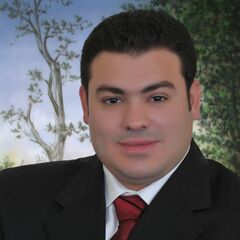 mohammad jibaei, MEP Project Manager