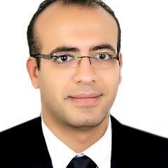 Mohamed Elsharkawy, Legal Consultant