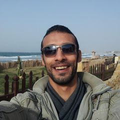 Yousef Elshahawy, Sales Team Leader
