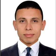 احمد امام, IT Specialist