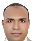 ممدوح عمران احمد أحمد, OSP Design & Planning Engineer/ FAN Planning