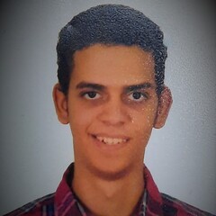 Ahmed Mohamed saad Elsayed