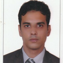 محمد محمد على محمد سلطان