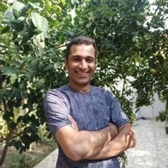 Mehdi Ramzannejad,  React Native Developer
