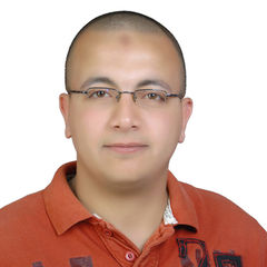Kamel Abd El-Hamid Mohamed Mrekab