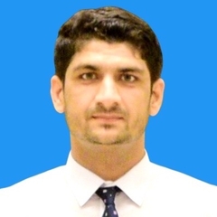 عثمان خان, Web Developer