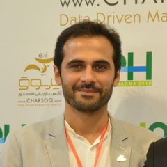 Sadegh Dibaji, Founder & CEO - Senior Business Analyst