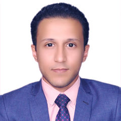 Fathy Mohamed, Accountant and Auditor