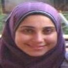 sara araby mohamed aly, Documentation representative