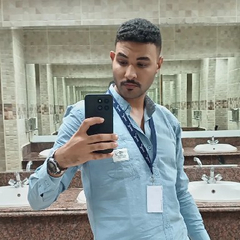 محمد عثمان إبراهيم  الدسوقي