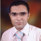 mohamed elshehawy, technical support and project manger