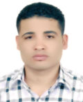 Ahmed Hamdi Kholif, مهندس