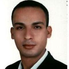 محمد عبد المنعم محمد  عويس, Project Engineer