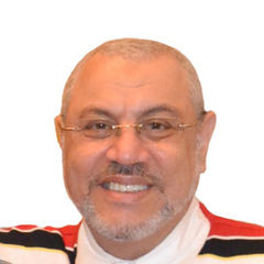 Ahmed Hossam EL Din, Senior Projets - Area Manager