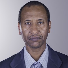 Abubakr Ali, Associate Professor