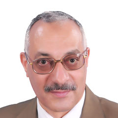 Abdel Hameed Mostafa Kamal, sales manager