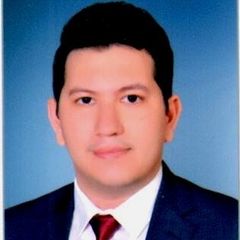 mahmoud mohamed ebrahim eltolemy, Commercial Finance Team Leader 