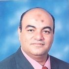 علاءالدين احمد محمد إبراهيم, المحلل المالى ومسئول الميزانية