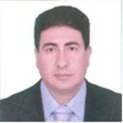 Emad Abdul Hamed Omr Abulymon, Financial Manager