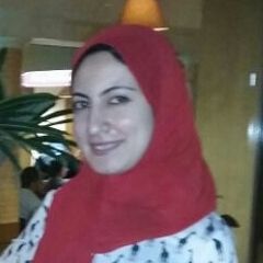 Nada Elashkar, Software developer