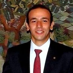 Mahmoud Mohamed Sami El-Mashad