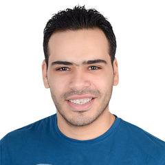 Hisham Mohamed Mansour Eladl, procurement Coordinator 