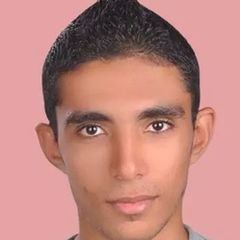 mohamed ismail sayed ali