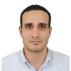 Ahmed Naguib, Senior Accountant 