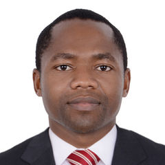 Michael Mudzengi, Group Accountant