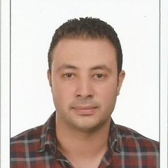 محمد سامى محمد ابو عميره, مدير تنفيذي