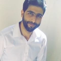 Mahmoud Zakal, Software Developer