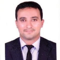 احمد محمد صالح عبدربه, Accountant