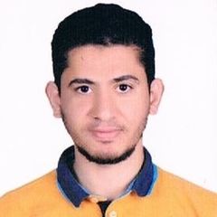 أحمد عبدالفتاح الزناتى الزناتي , Field Service Engineer
